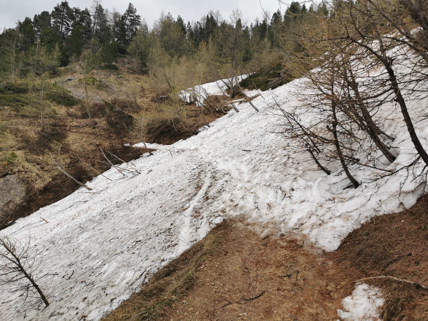 Et en plus les plaques de neiges réapparaissent