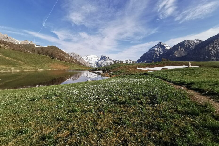 Lac de Chavillon ou des Thures, Tabor au fond