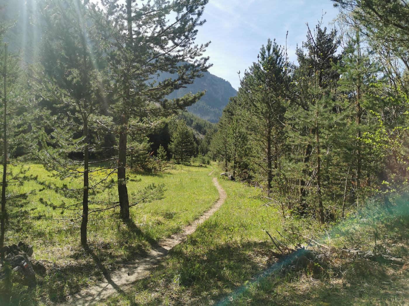 Le sentier arrive dans une prairie avant le village