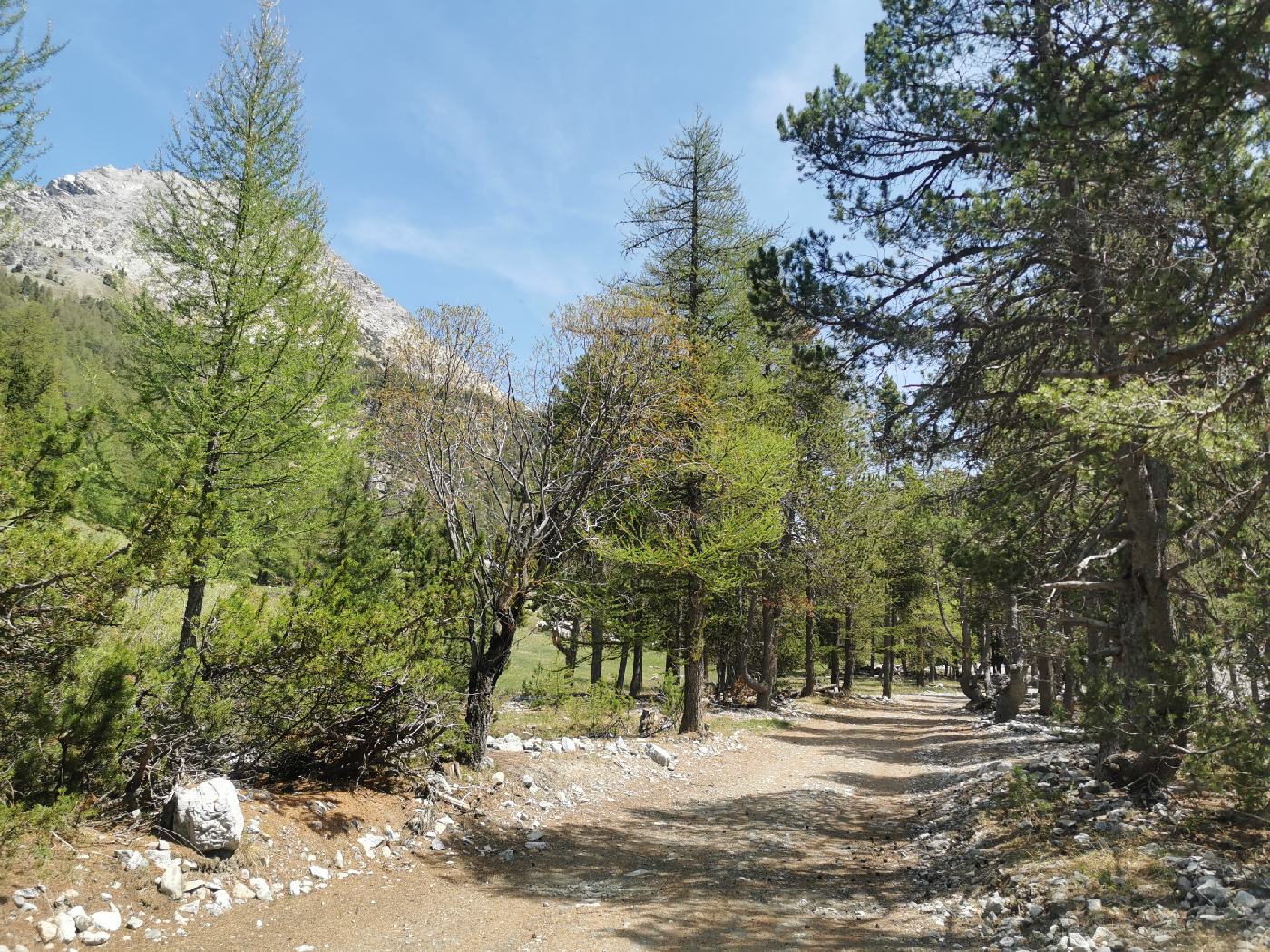 La route à l'approche des chalets