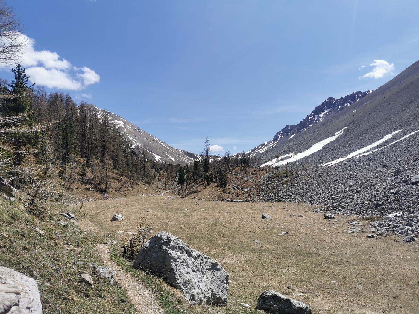 Replat à coté d'une zone d’éboulis