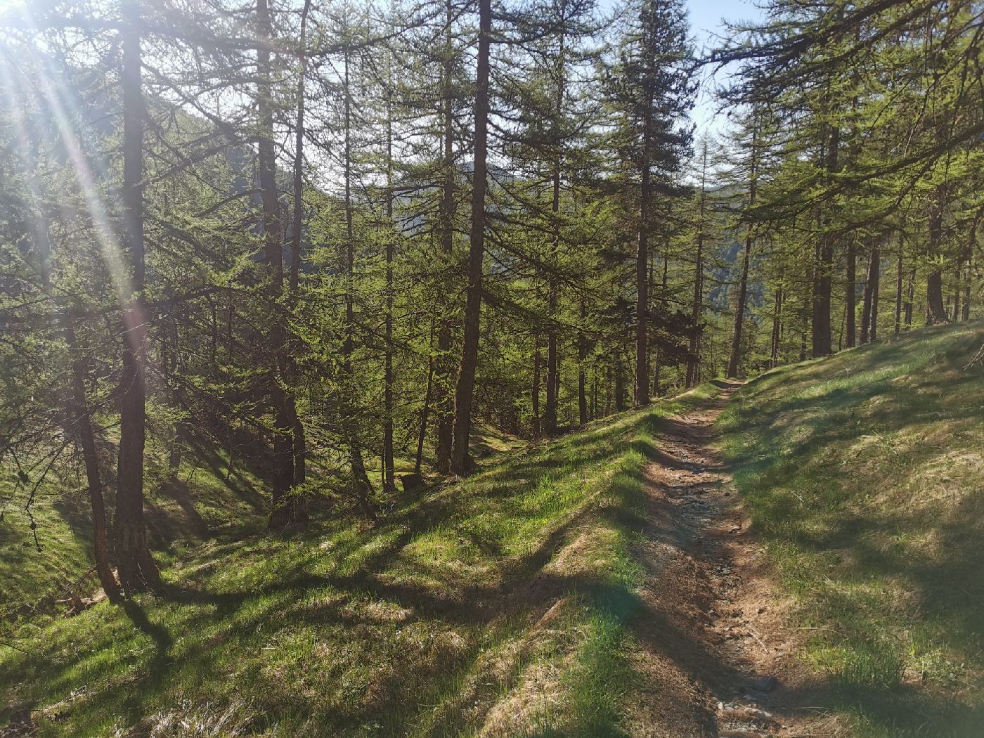 Un petit sentier (qui c'est avéré être pas le bon quelques minutes plus tard)