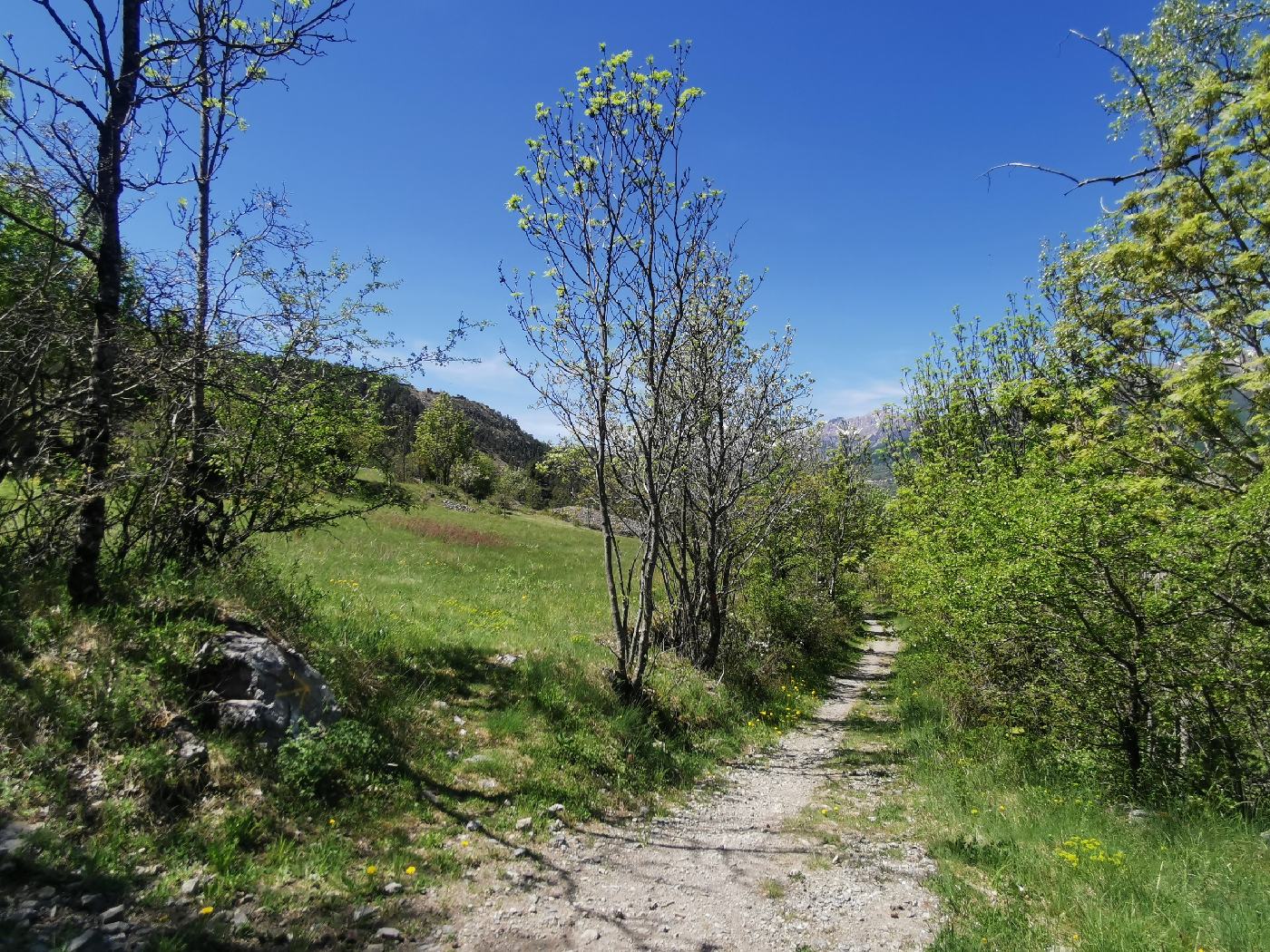 J'adore ce type de petit sentier