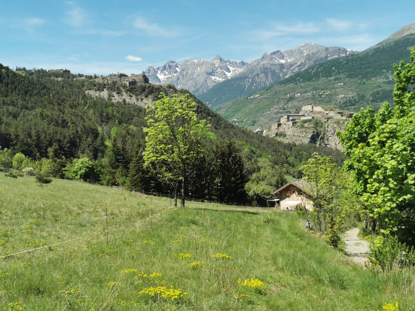 Un champ, au loin Briançon