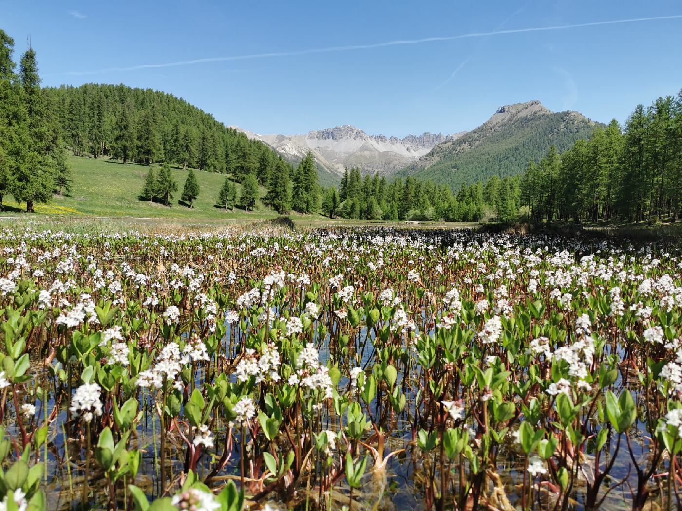 LE lac eavec des Gacynte d'eau