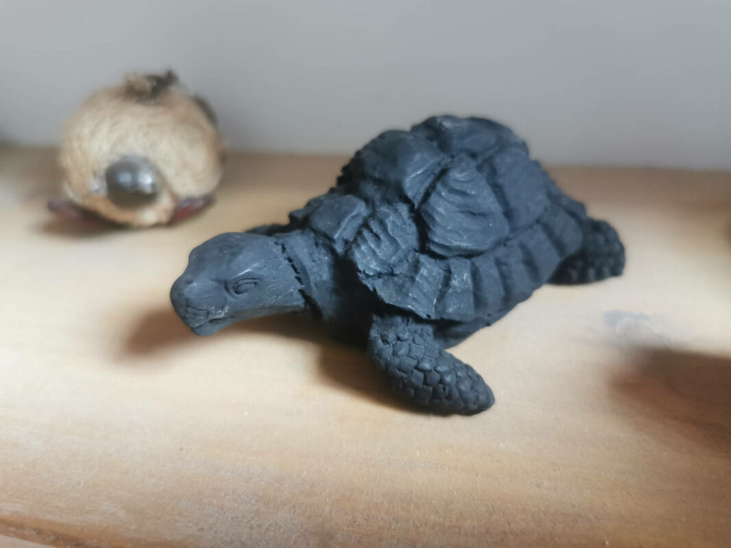 La tortue en pierre de lave