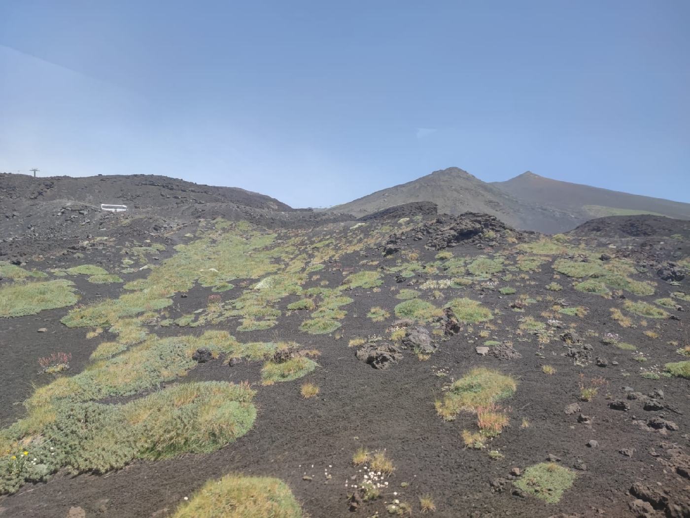 Vers 1000m, il y a encore un peu de végétation. Après rien.