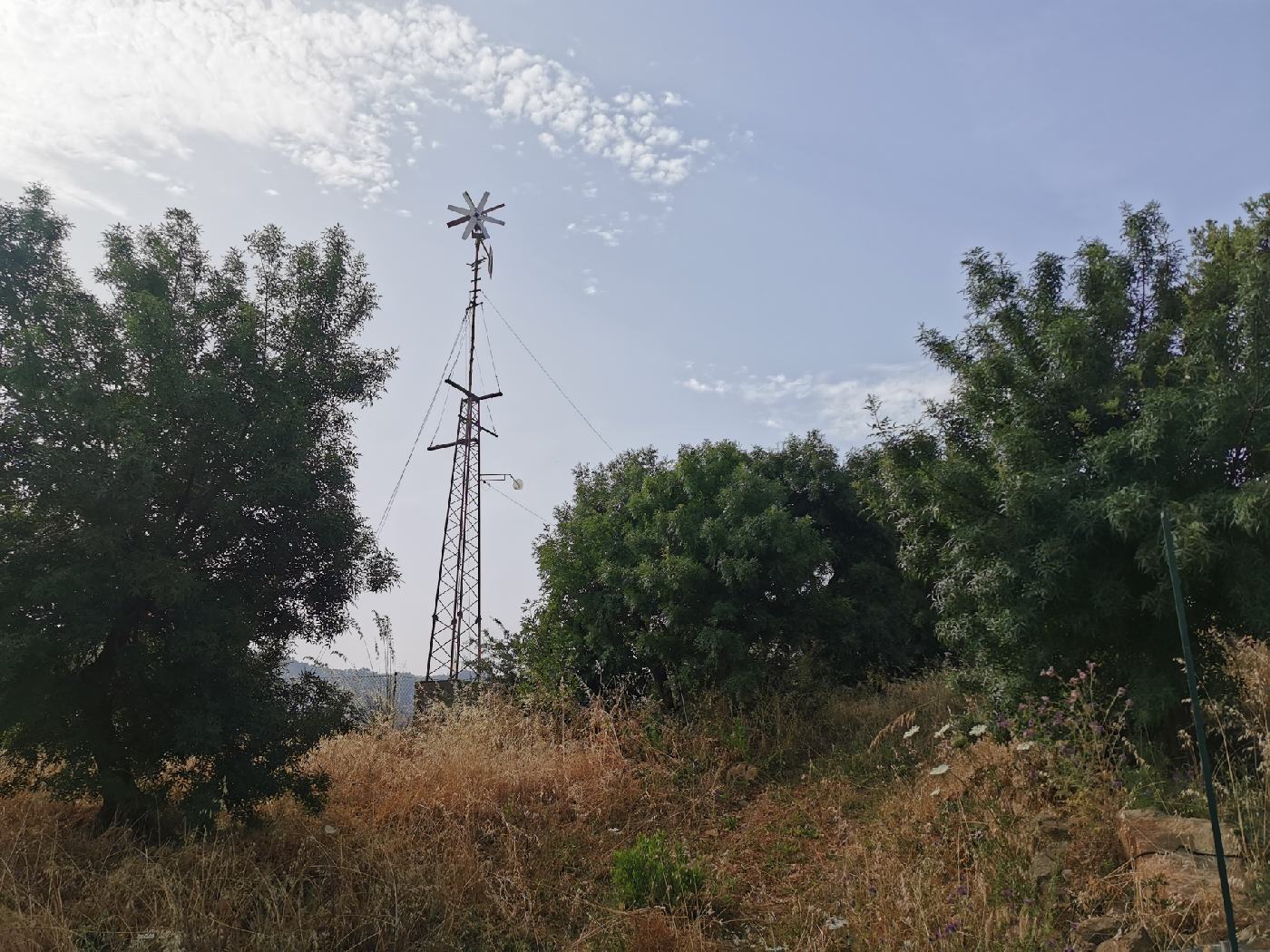 Jolie éolienne agricole