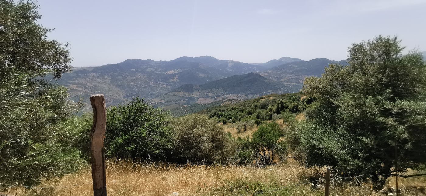 Vu du chemin sur le parc naturel de Madonie