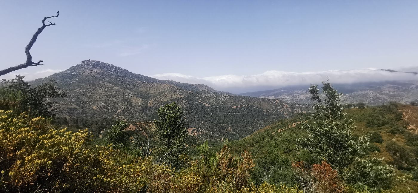 La montagnes de Pollina vu de loin