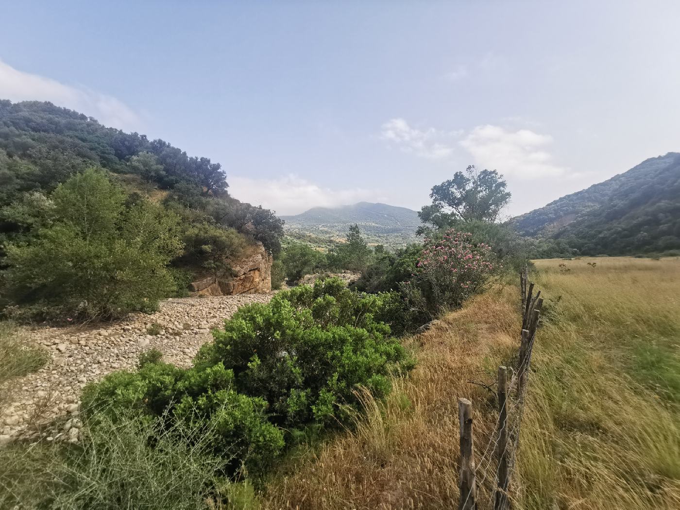 Je fini par traverser un dernier champs avant d'arriver à la rivière