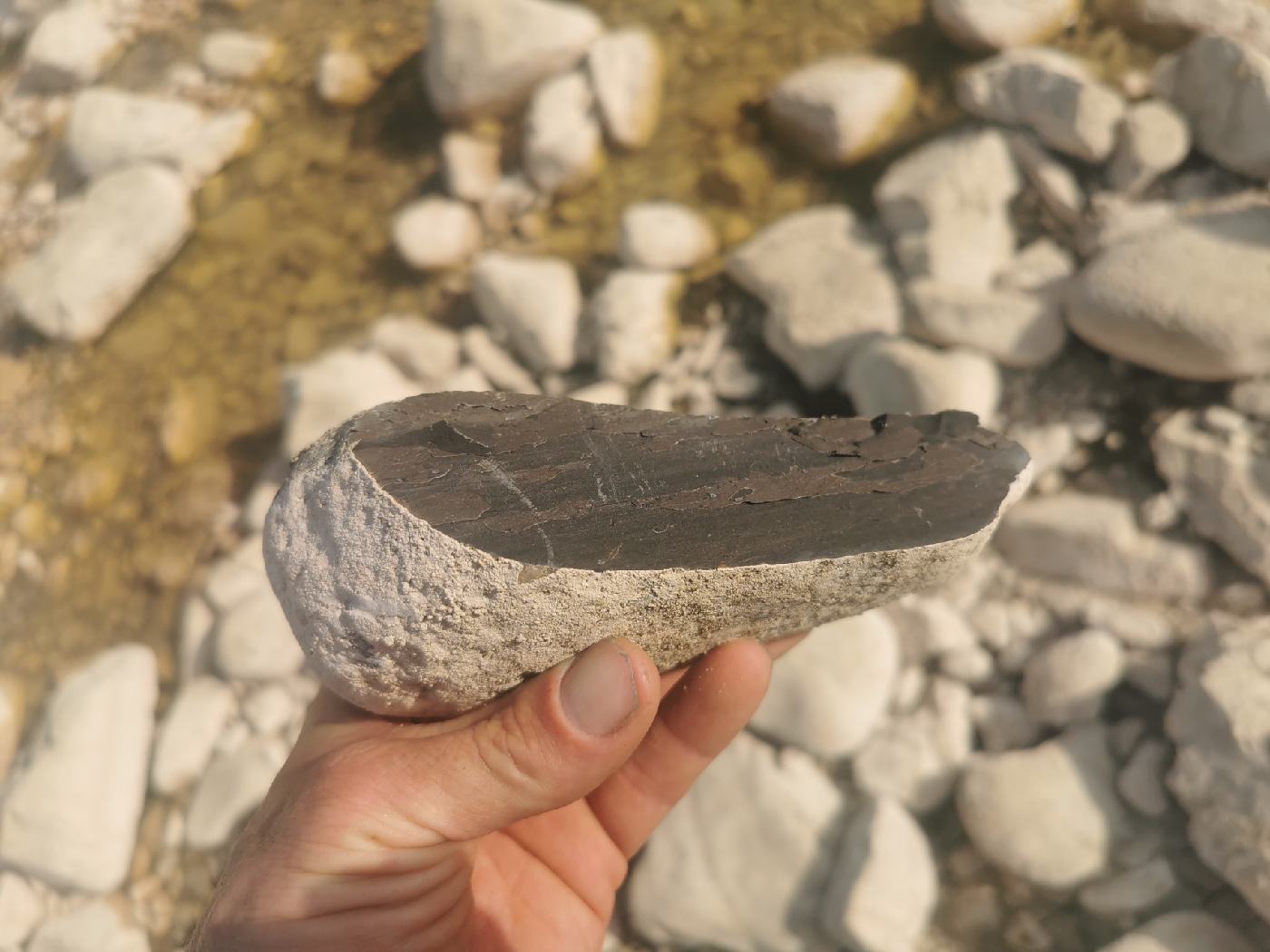 Les galets de la rivières sont en fait des roches volcanique