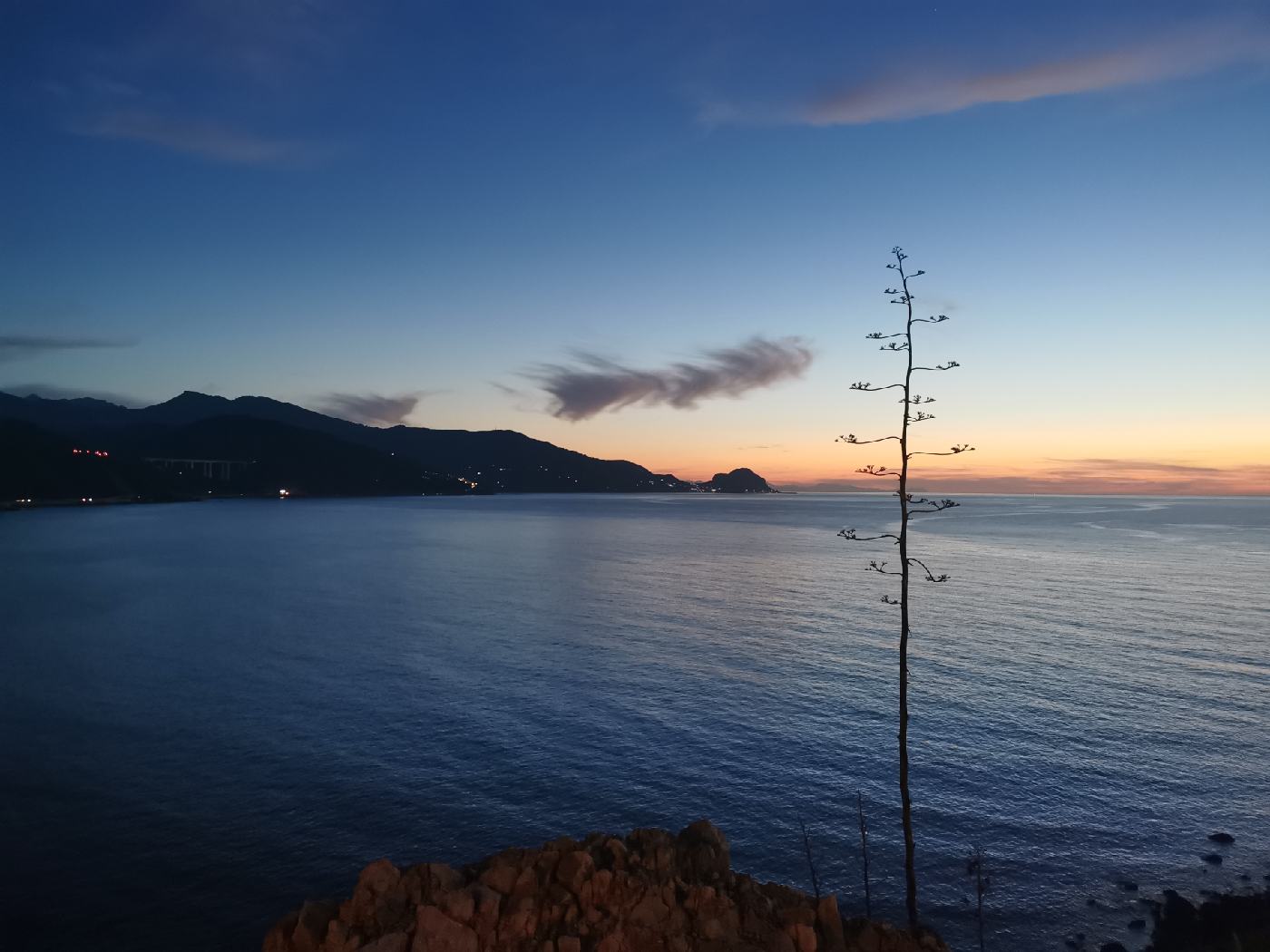 La nuit tombe sur les Agave