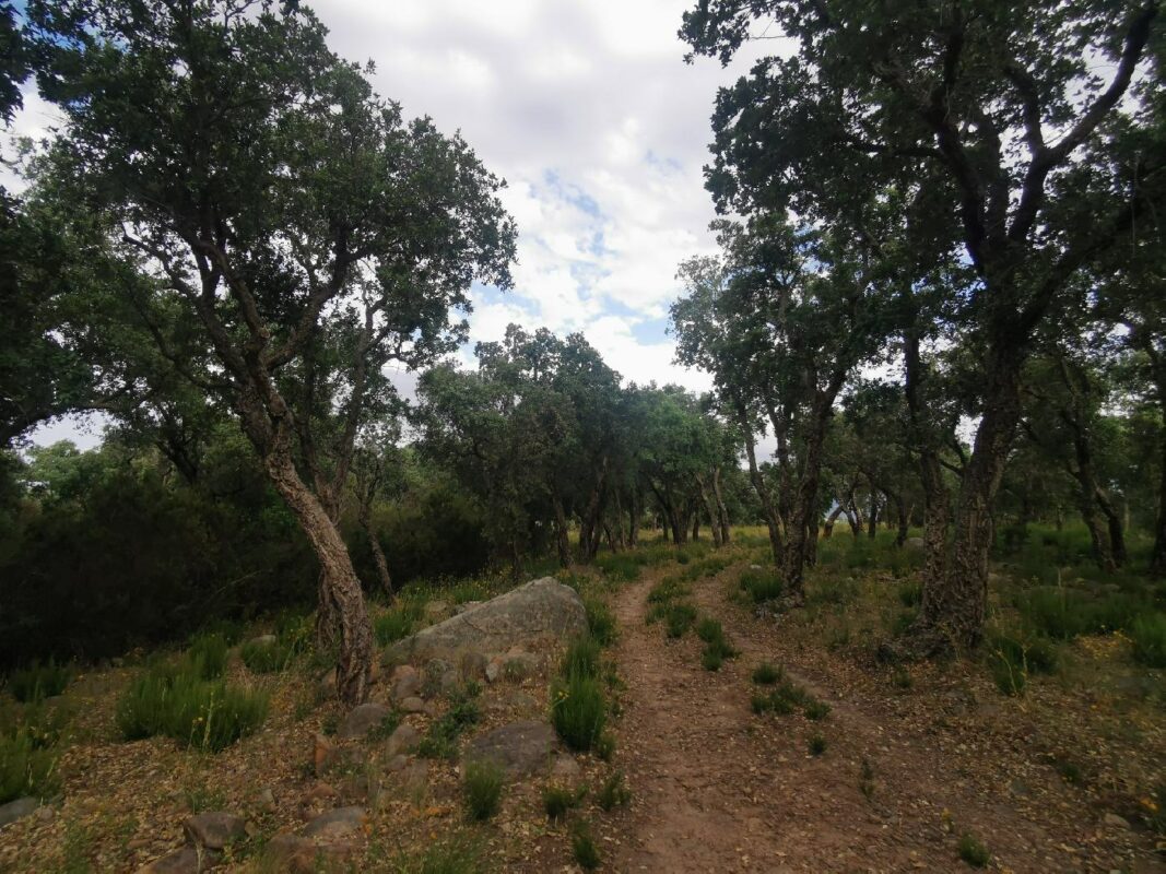 La route dans la réserve naturel