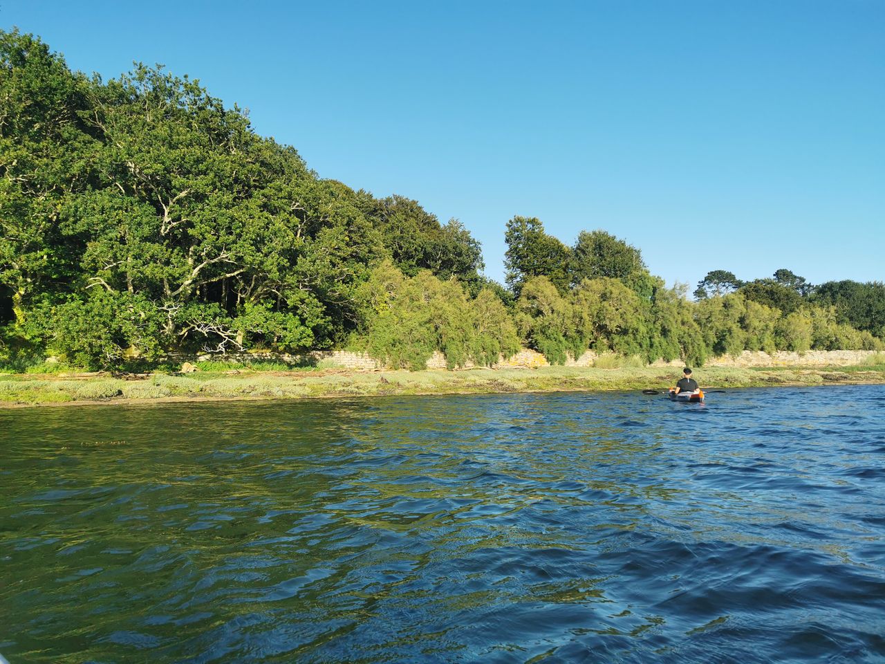 Rive de l'Odet boisée