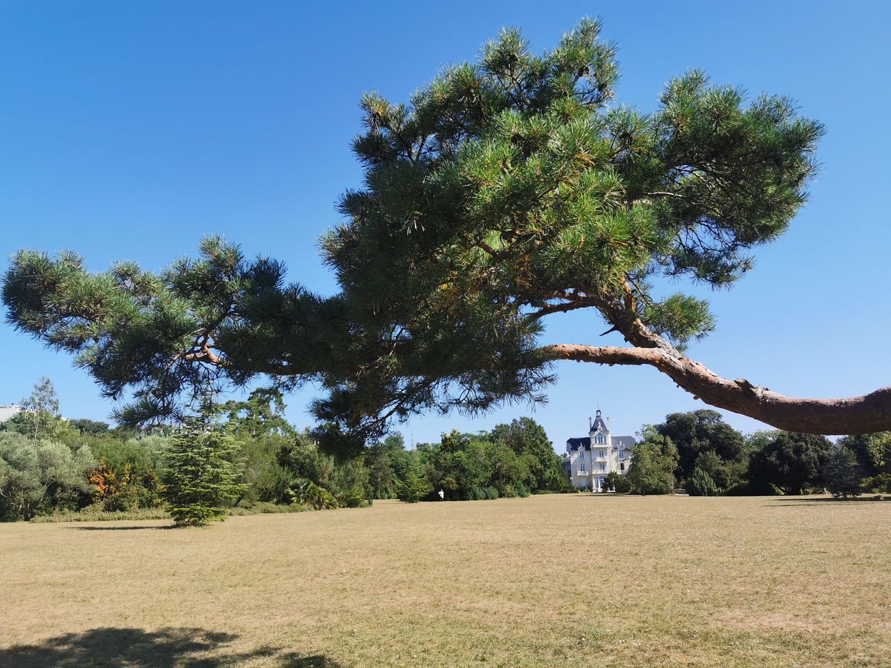 Le pavillon au bout de l’esplanade