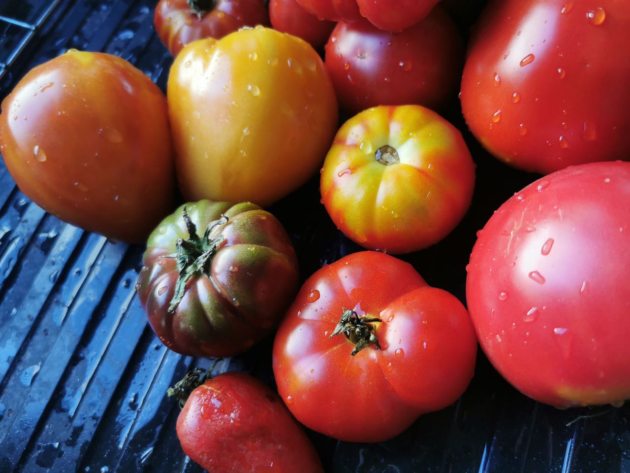 Les tomates de toutes les couleurs