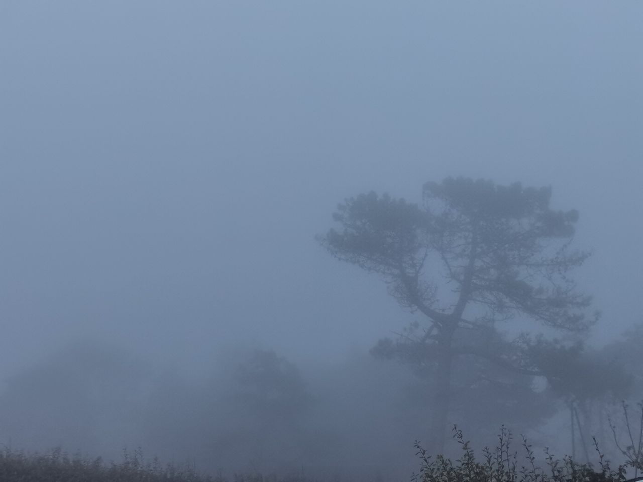 La brume du soir