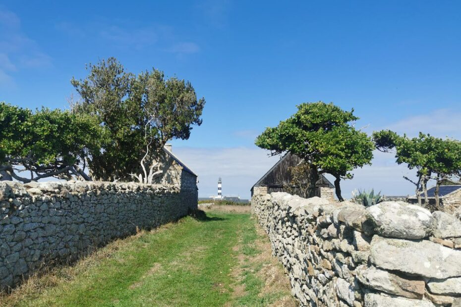 Maison, arbres et phare au loin