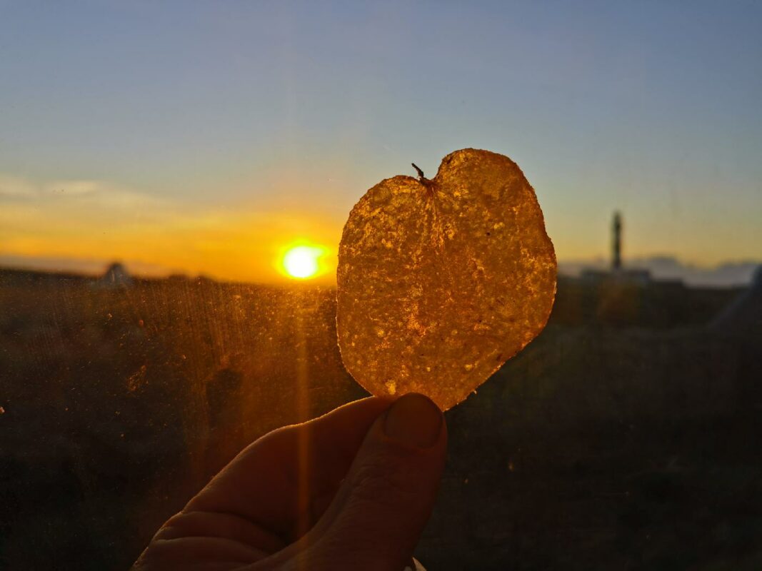 Chips d'apéro au coucher du soleil