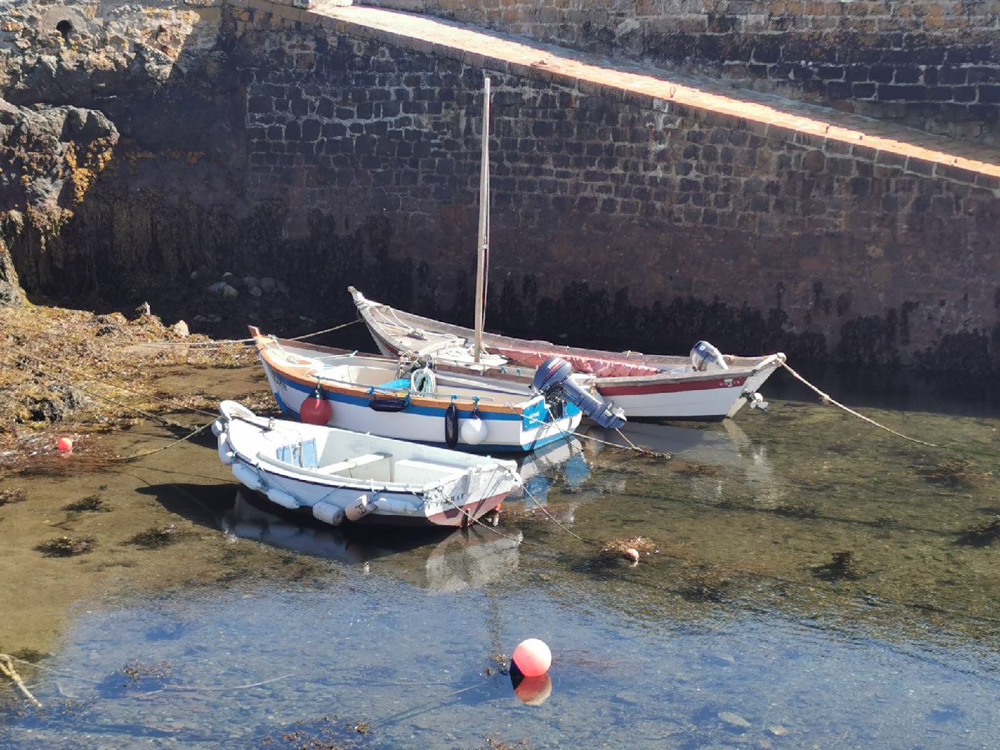 Barques