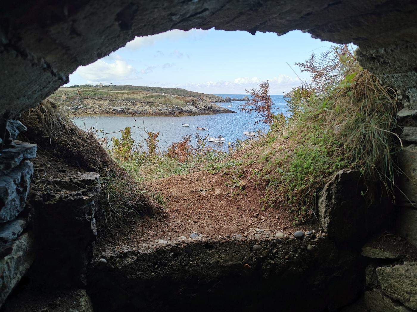 Vu d'un blockhaus