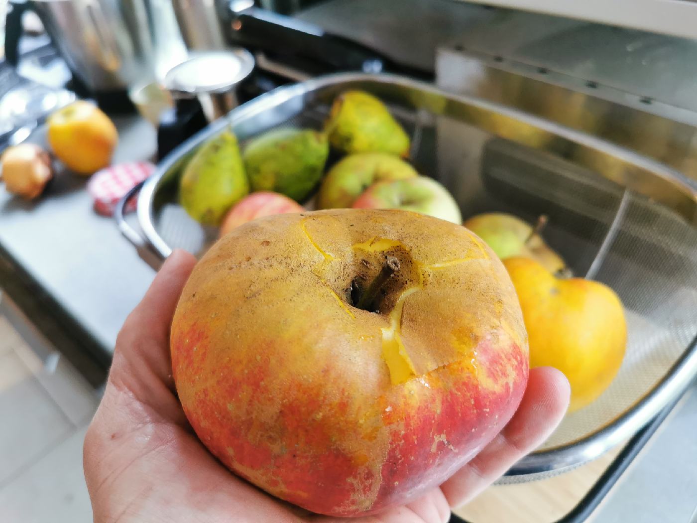 Pomme géante du jardin