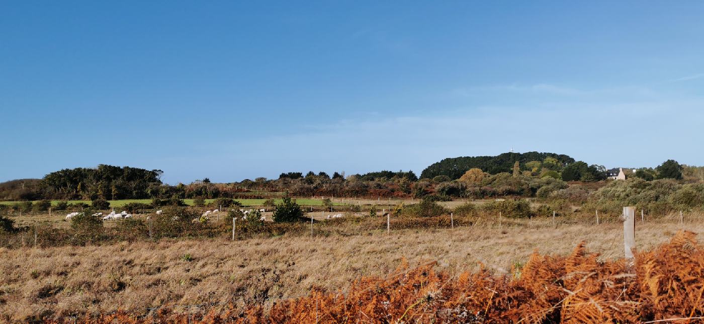 La campagne au milieu de l'ile