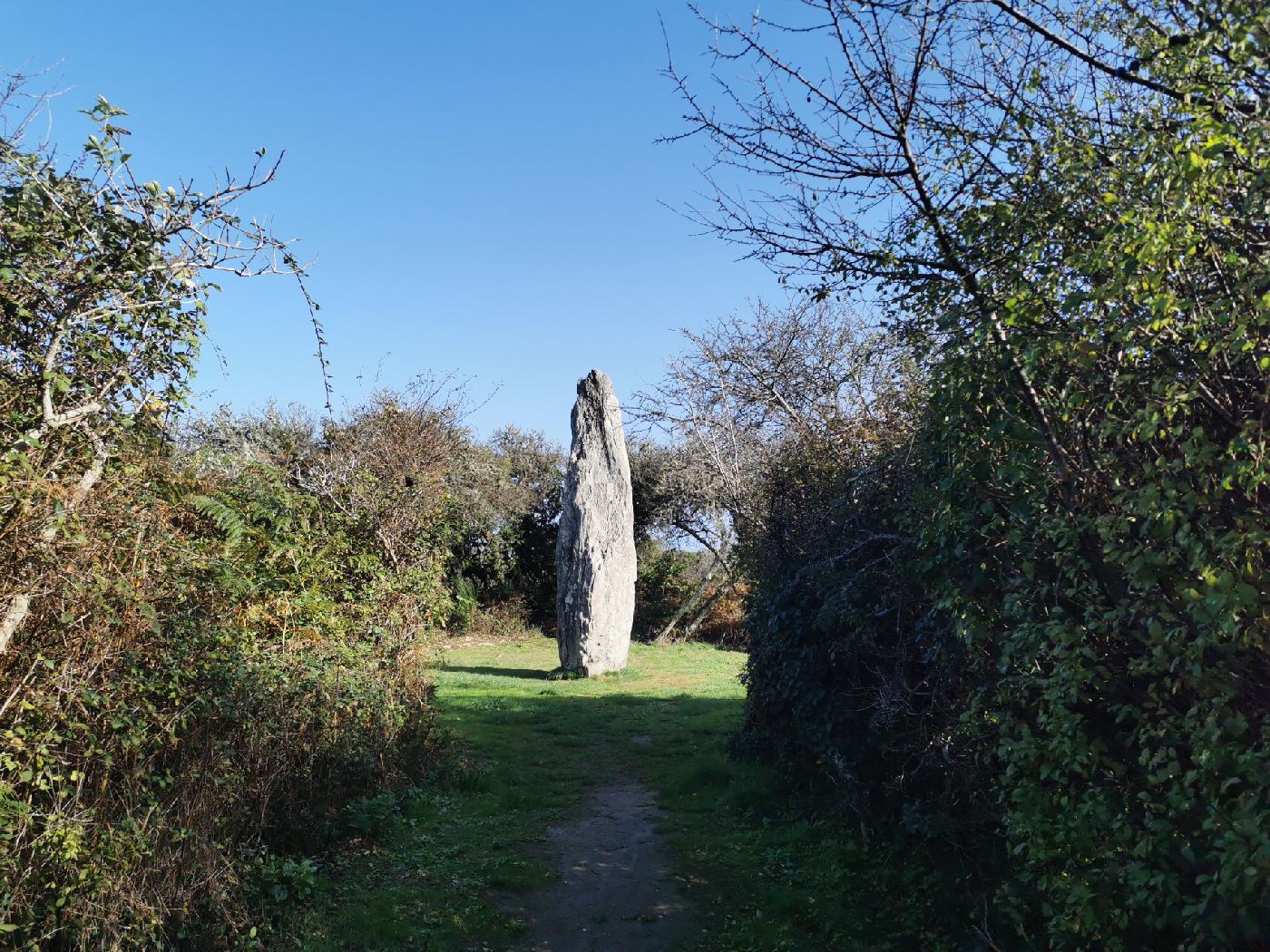 Petit détours de 100m pour voir un menhir