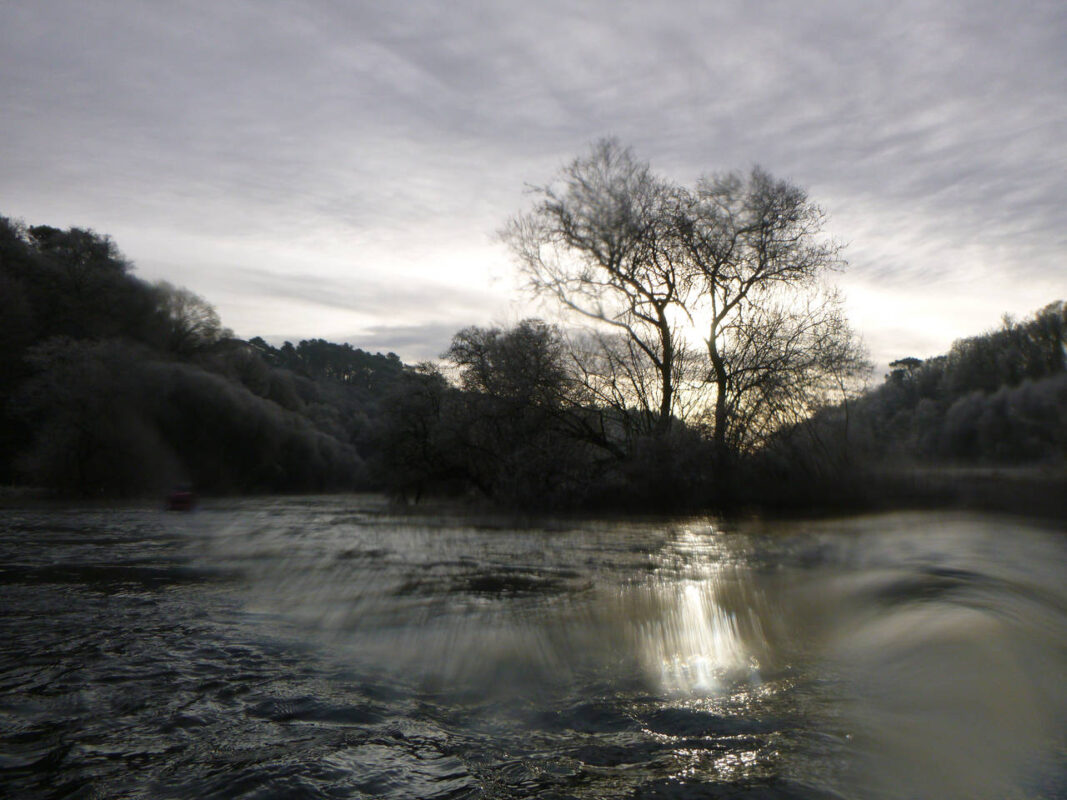 Sur l'eau le matin