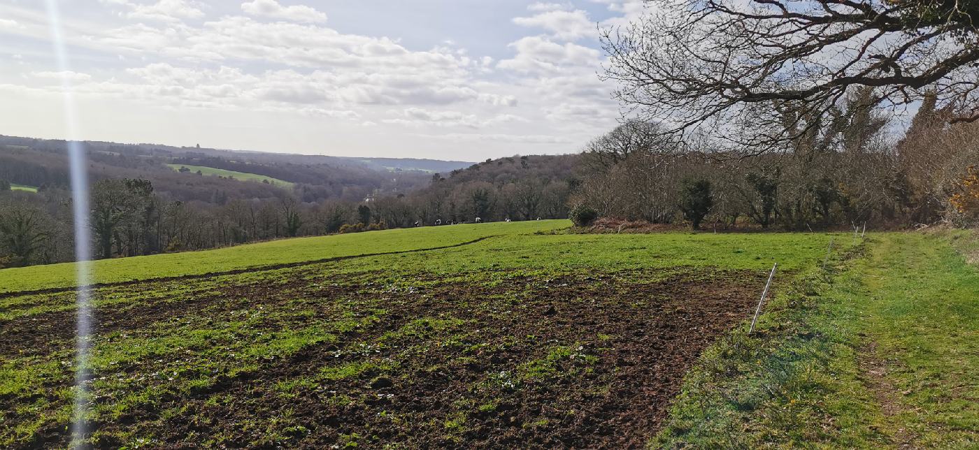 Champs au dessus de la vallée