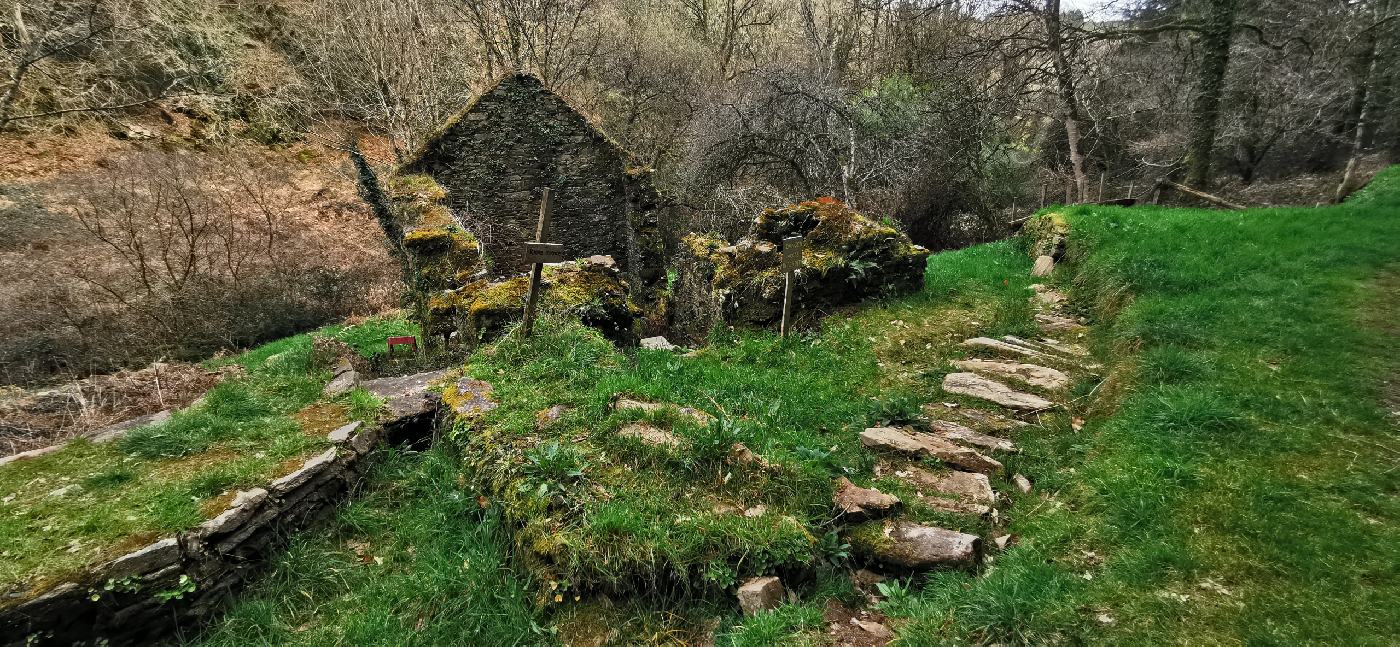 Moulin du Glayo