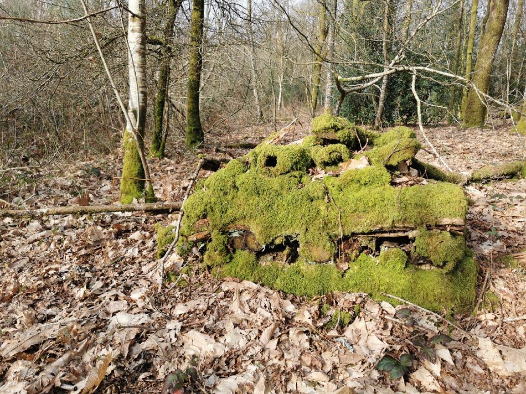 Vieux tas de bois oublié