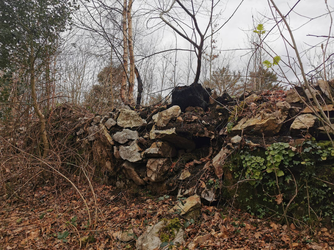 Marque de feu sur un talus