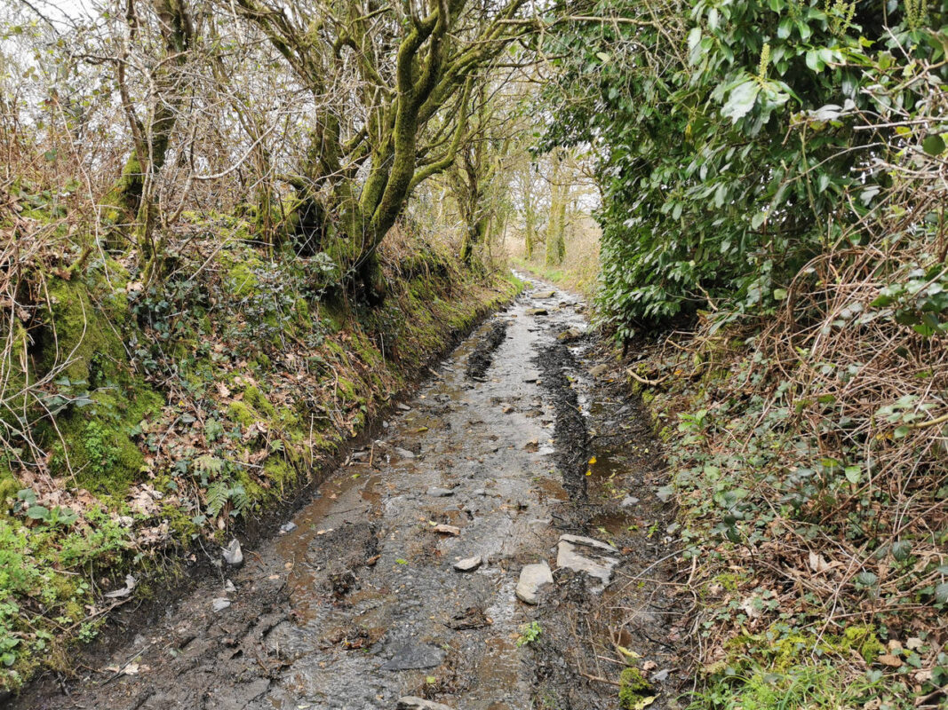 Chemin détrempé