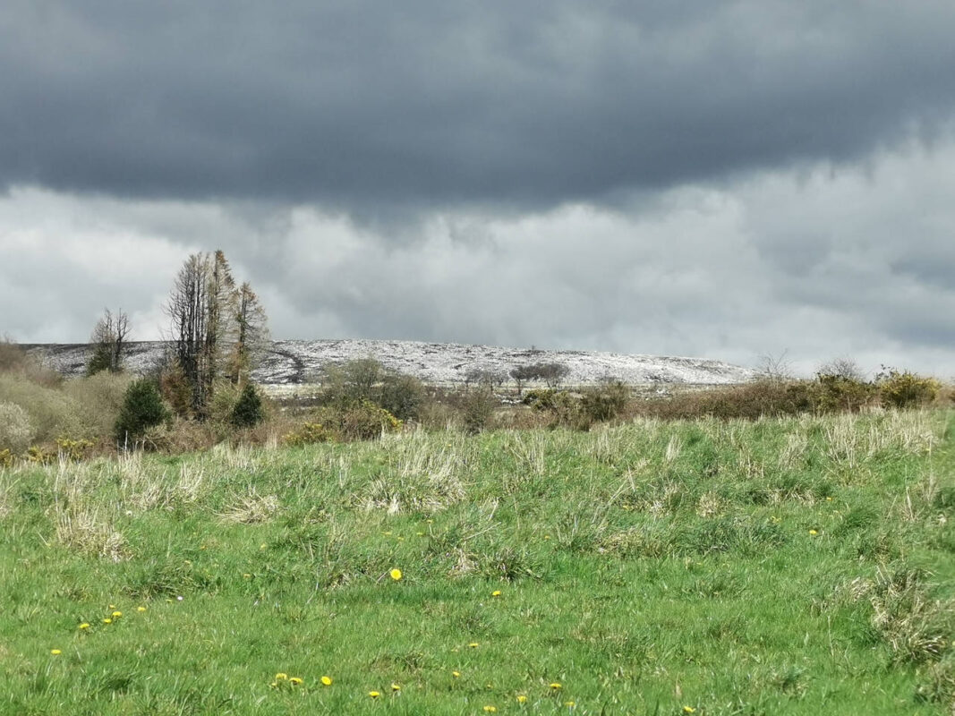 C'est pas de la neige ça ?