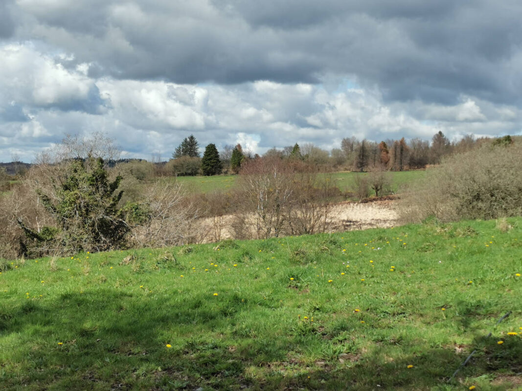 On quitte la zone brulé