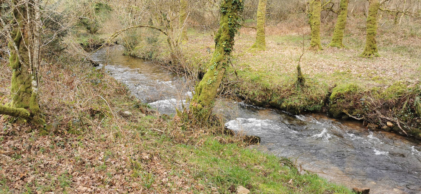 Petit torrent (pas de quoi y nager)