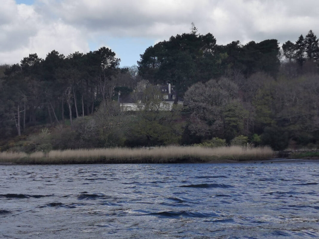 Rive de roseaux et maison