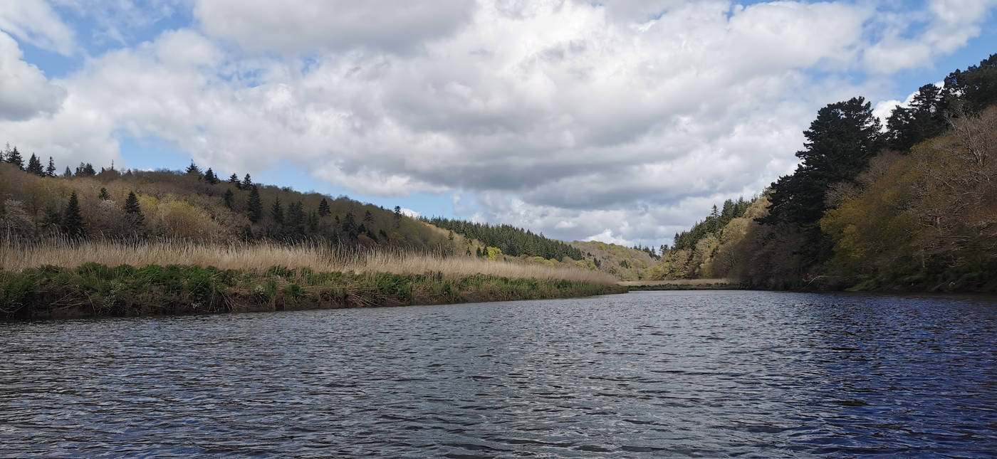Virages entre les marais et les bois