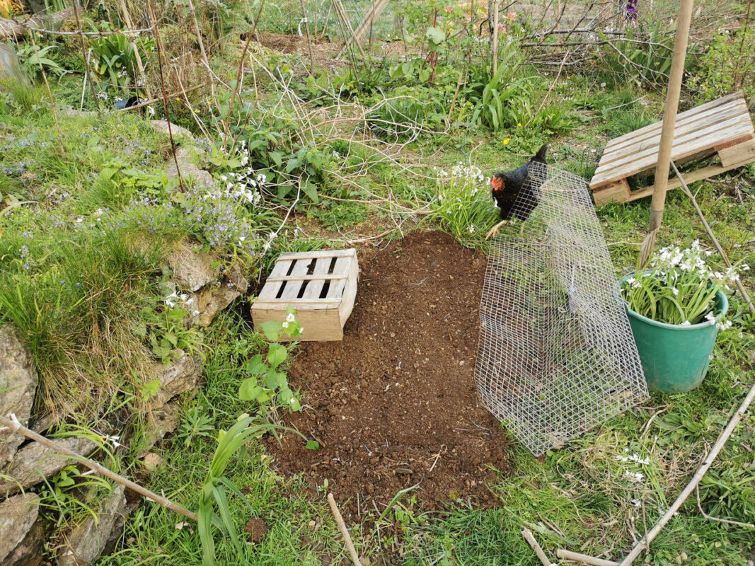 Petit coin nettoyer au milieu de la friche