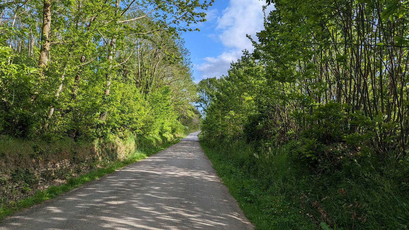 Route de campagne