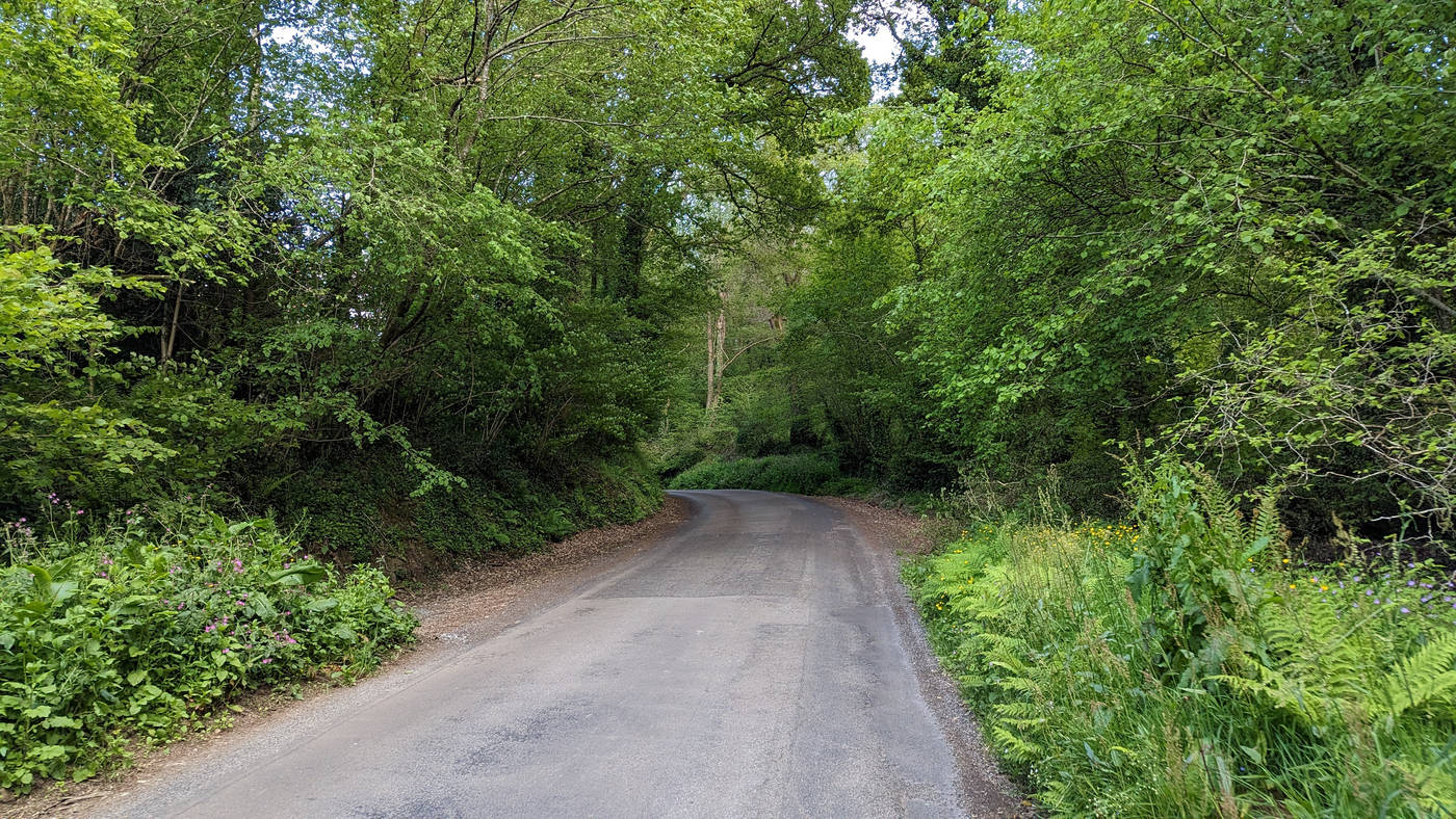 La route en sous bois