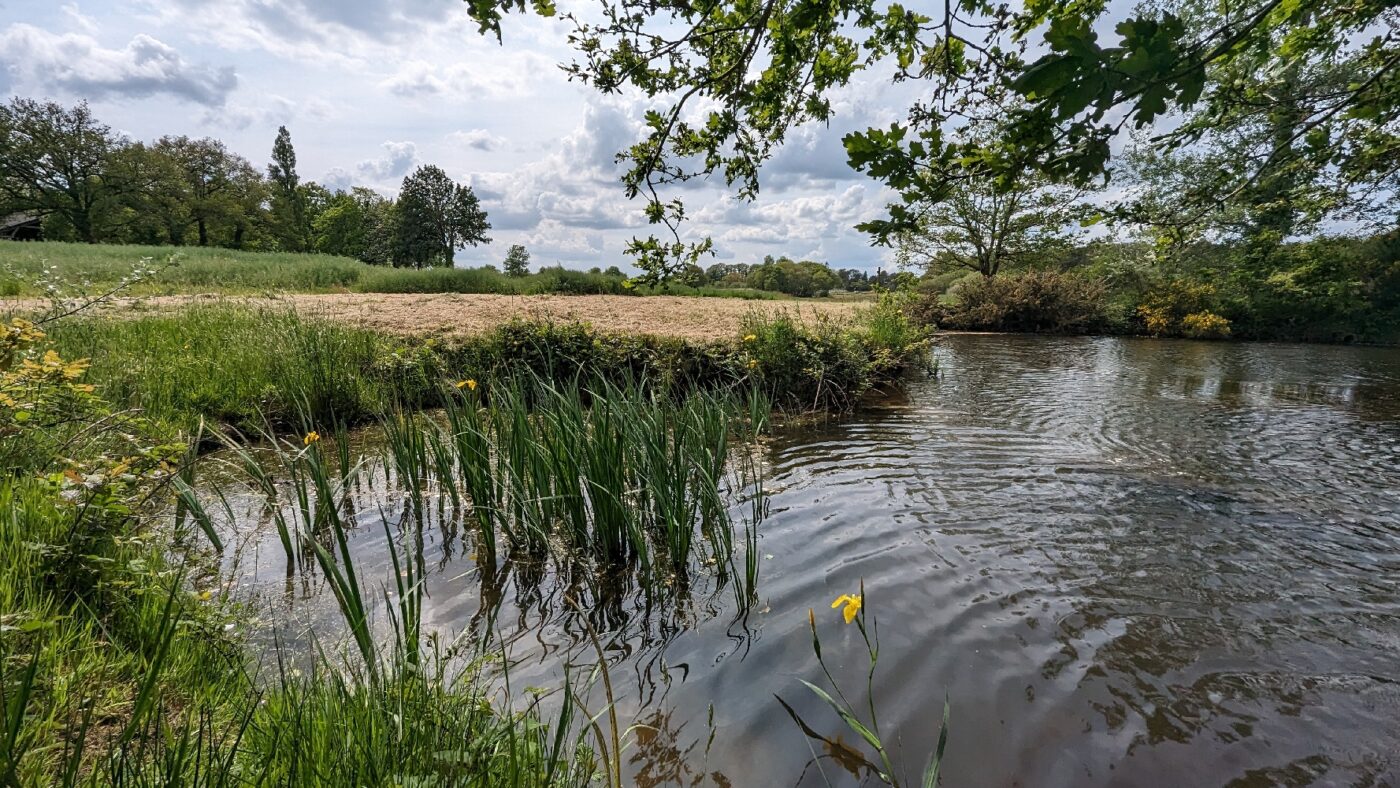 Plan d'eau pour la sieste de 16h30