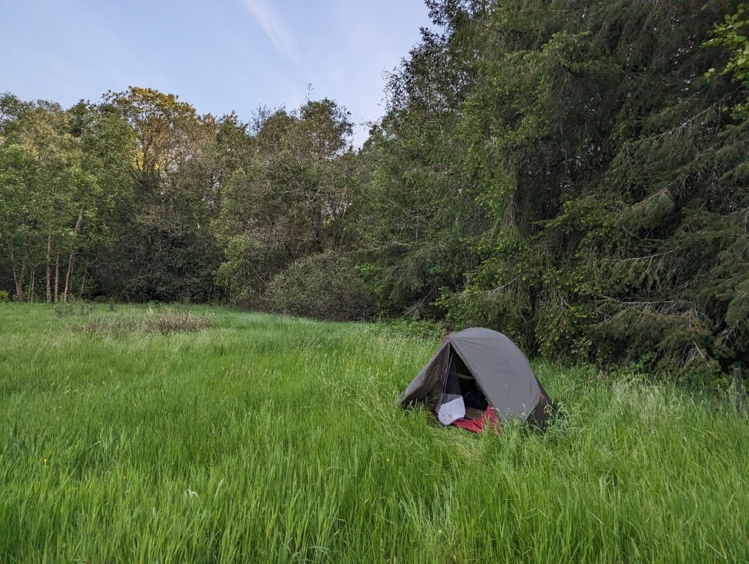 Bivouac du soir dans une clairière