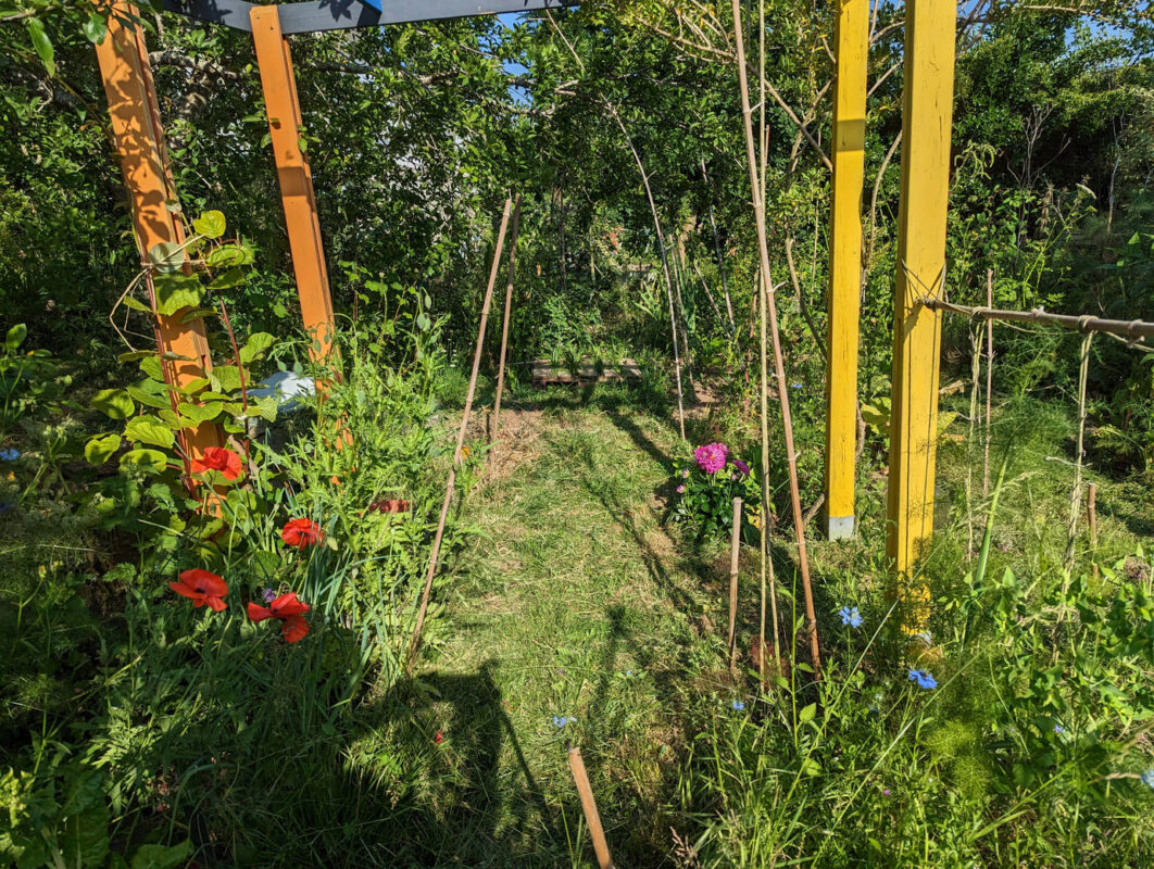 L'herbe fraichement coupée dans les années, avec la bonne odeur.