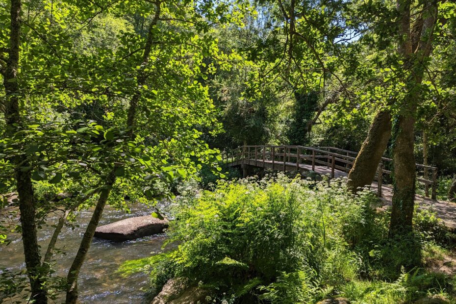 Pont sur le Stangala