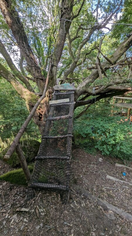 Comment grimper facilement aux arbres