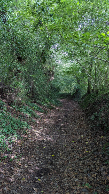 Sentier creux typique