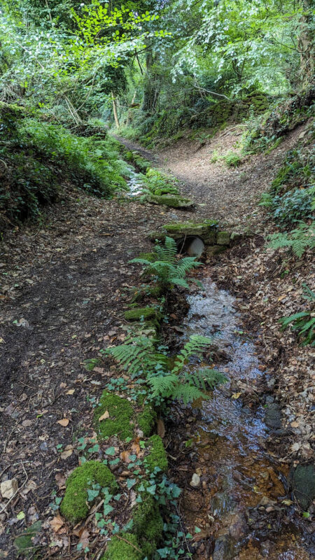 Sentier creux avec une rigole